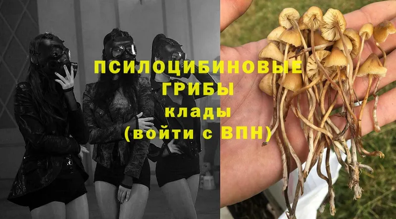 Галлюциногенные грибы мицелий Видное